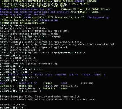 KNOPPIX, загруженный без X'ов в консольном VGA-режме