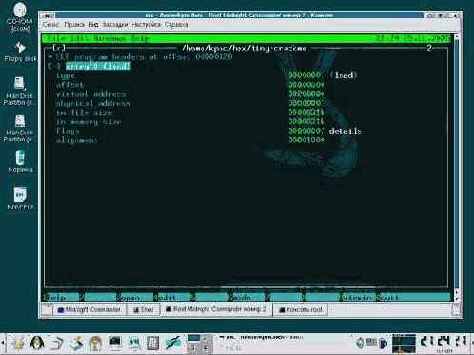 Исследование tiny-crackme извне и изнутри