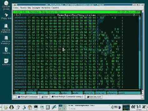 Исследование tiny-crackme извне и изнутри