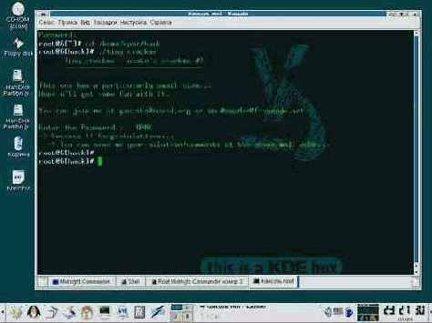 Исследование tiny-crackme извне и изнутри